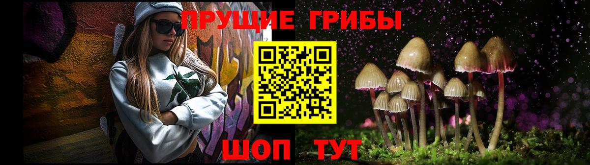 Галлюциногенные грибы прущие грибы  Вход с VPN  Сергиев Посад  Галлюциногенные грибы мицелий 